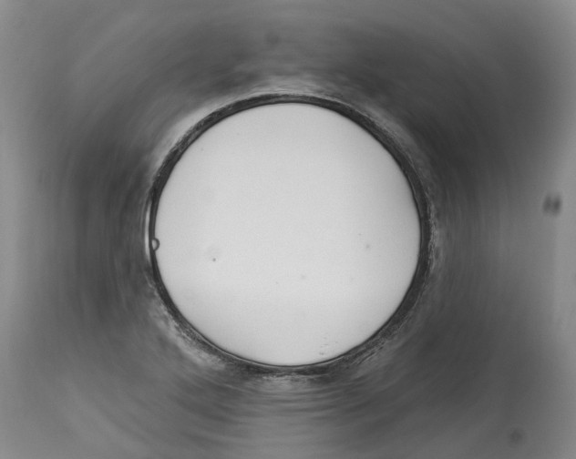 X0000114181272200911051542