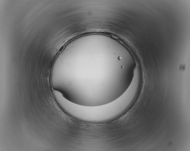 X0000114181273200911051542