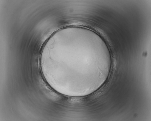 X0000114181274200911051542