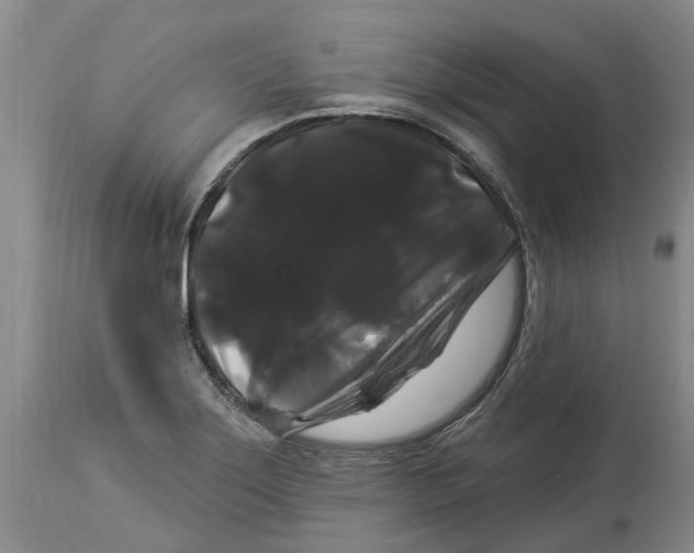 X0000114181275200911051542