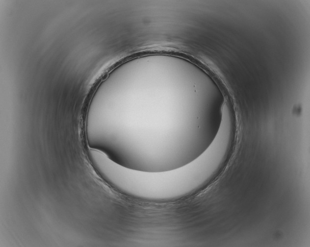 X0000114181277200911051542