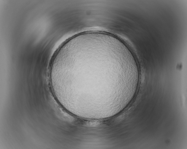 X0000114181278200911051542