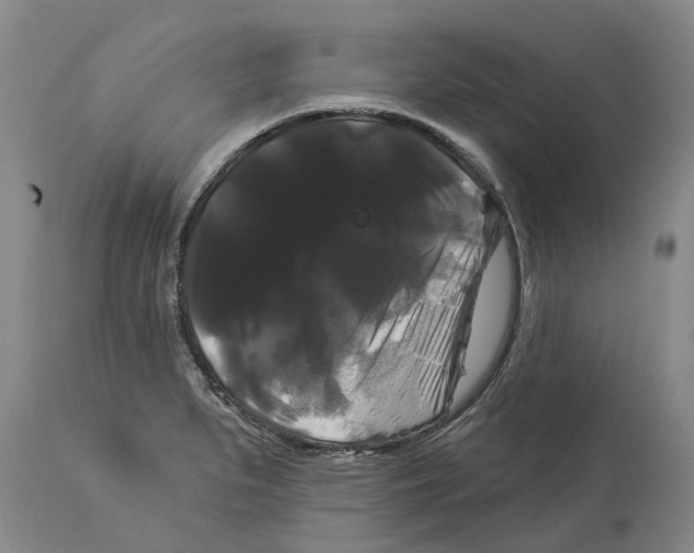 X0000114181279200911051542