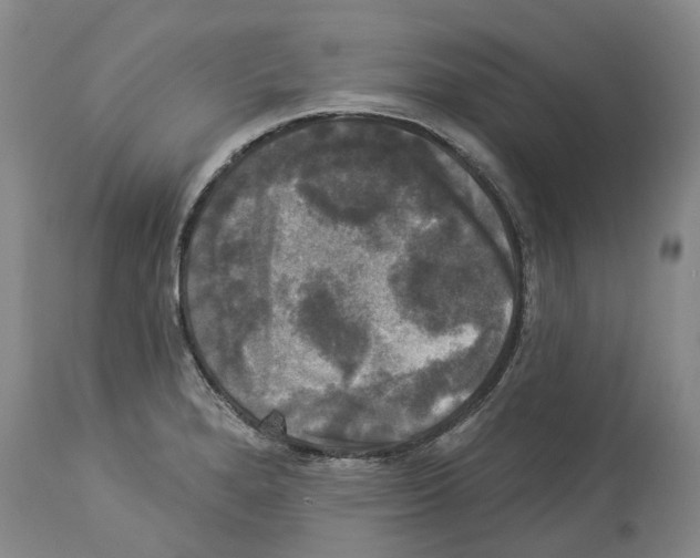 X0000114181280200911051542