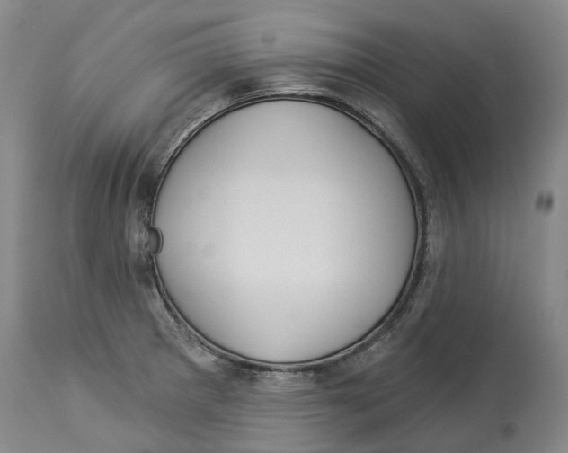 X0000114181281200911051542