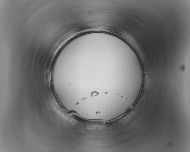 X0000114181284200911051542