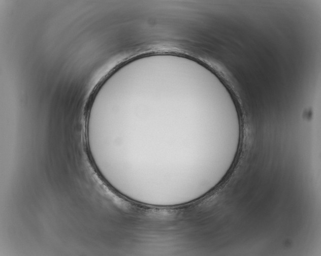 X0000114181286200911051542