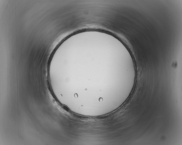 X0000114181287200911051542