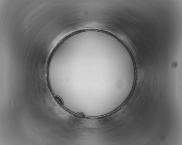 X0000114181288200911051542