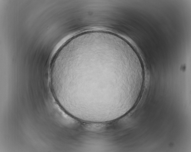 X0000114181294200911051542