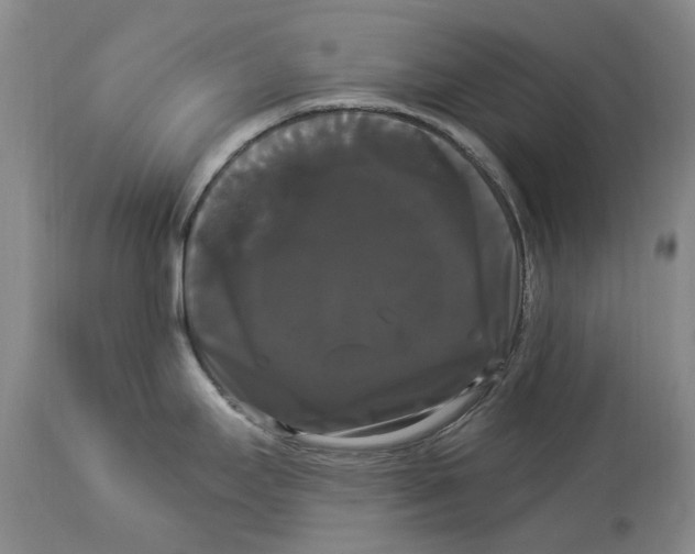 X0000114181295200911051542