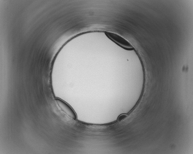 X0000114181296200911051542