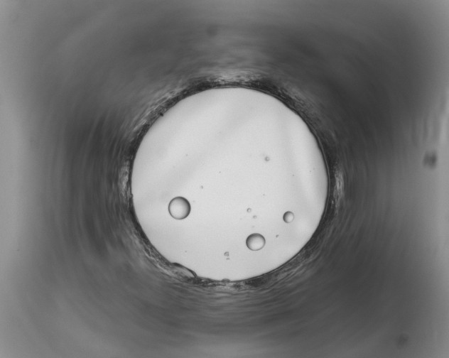 X0000114181300200911051541