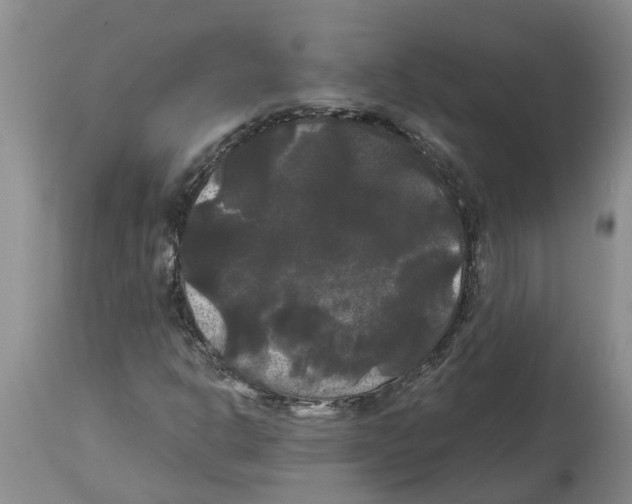 X0000114181302200911051541