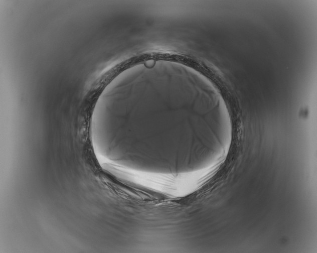 X0000114181303200911051541