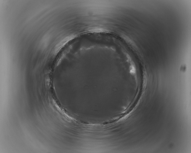 X0000114181305200911051541