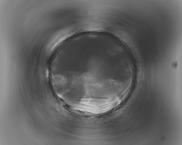 X0000114181306200911051541