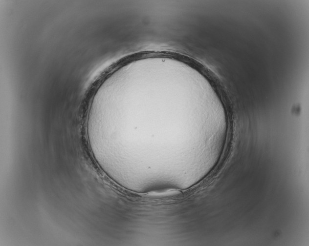 X0000114181311200911051541