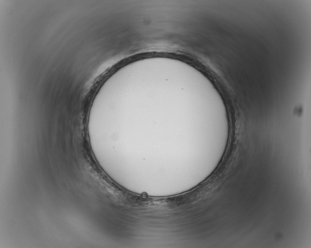 X0000114181315200911051541