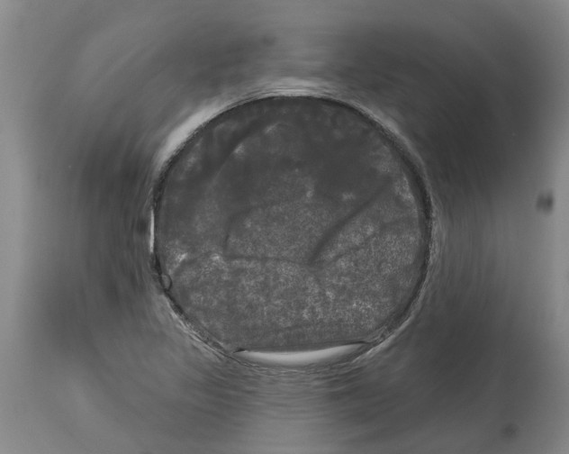 X0000114181317200911051541