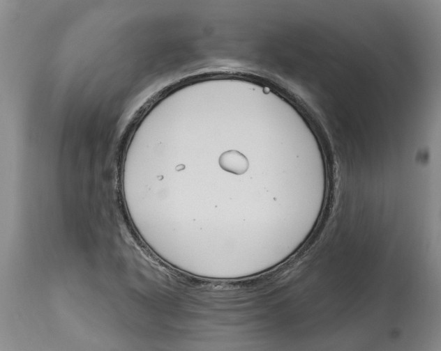 X0000114181318200911051541