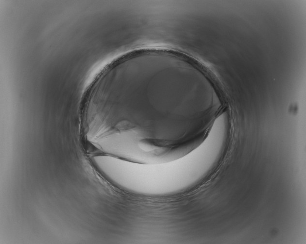 X0000114181319200911051541