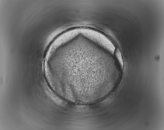 X0000114181320200911051541