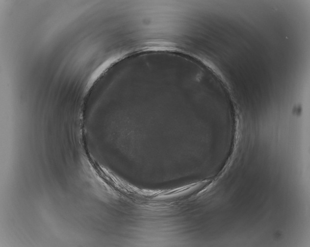 X0000114181325200911051542