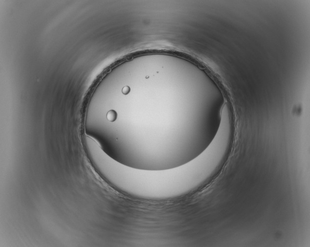 X0000114181326200911051542