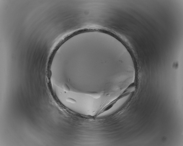 X0000114181327200911051542