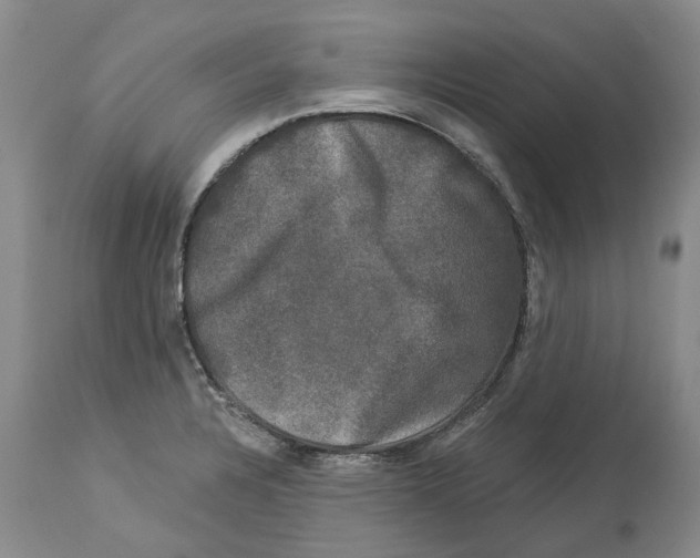 X0000114181328200911051542