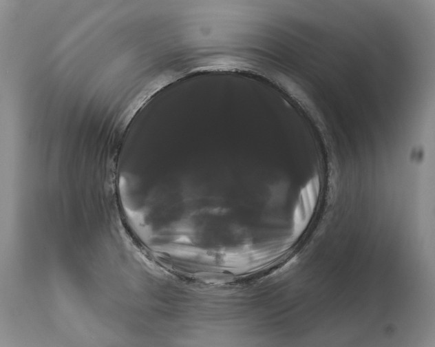 X0000114181329200911051542