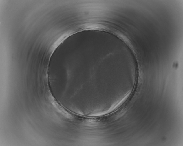 X0000114181330200911051542