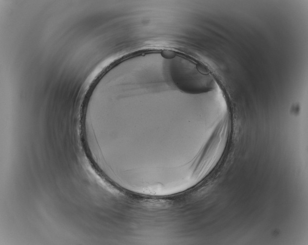 X0000114181331200911051542