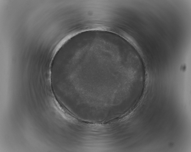 X0000114181332200911051542