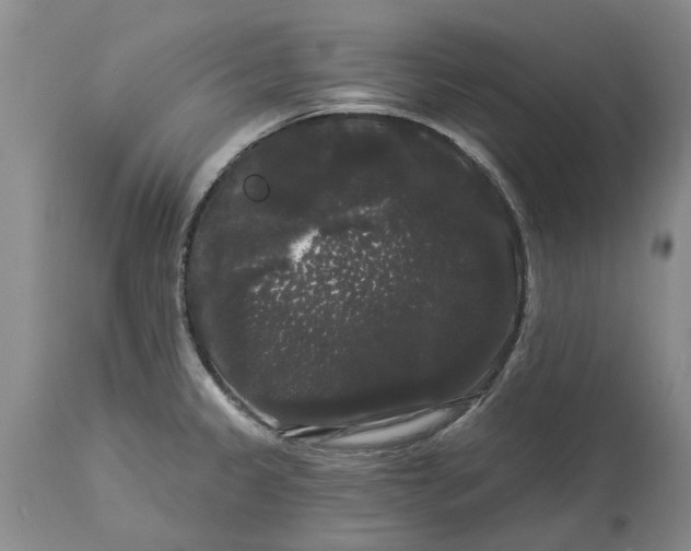 X0000114181333200911051542