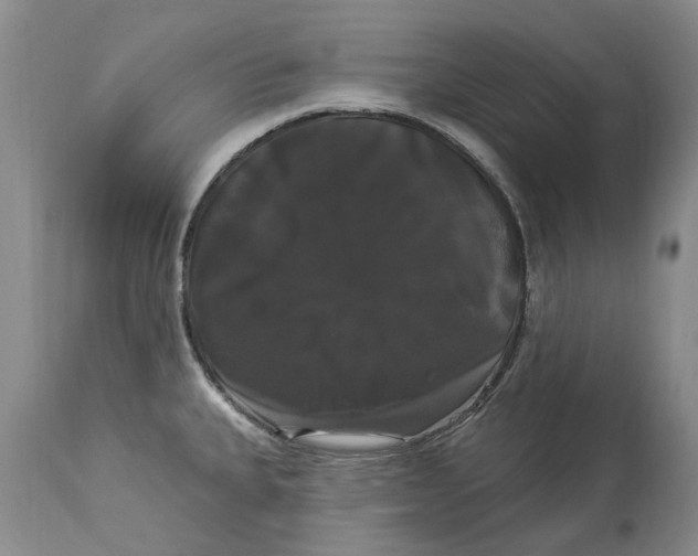 X0000114181335200911051542