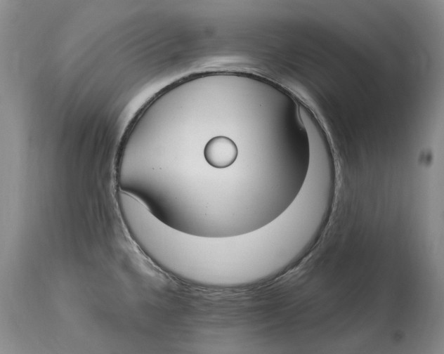 X0000114181336200911051542