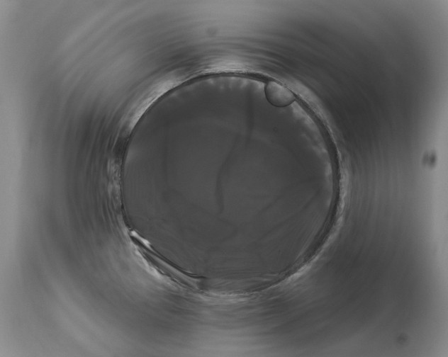 X0000114181337200911051542