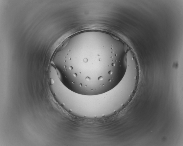 X0000114181338200911051542