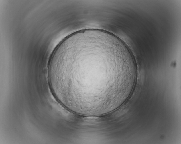 X0000114181342200911051542