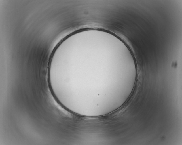 X0000114181343200911051542