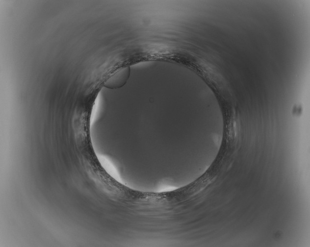 X0000114181346200911051541