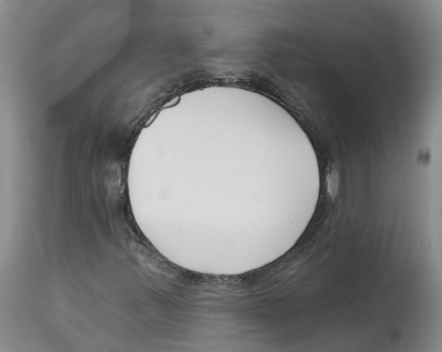 X0000114181347200911051541