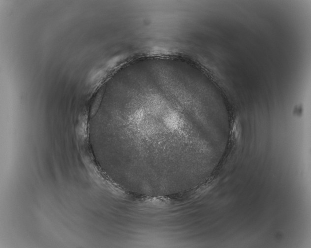 X0000114181348200911051541