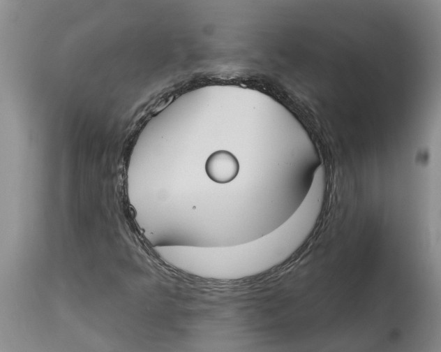 X0000114181349200911051541