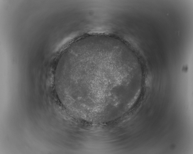 X0000114181350200911051541