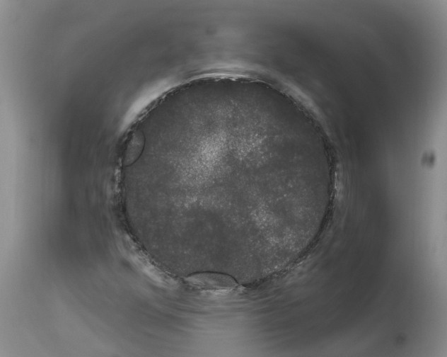 X0000114181352200911051541