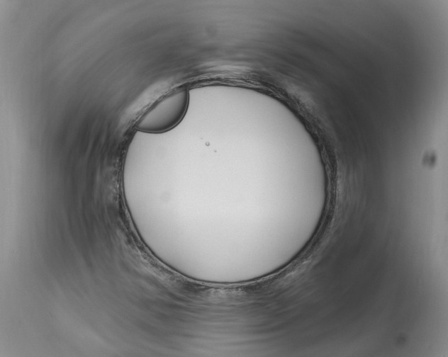 X0000114181354200911051541