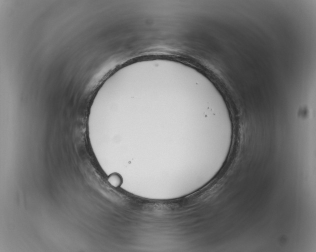 X0000114181355200911051541